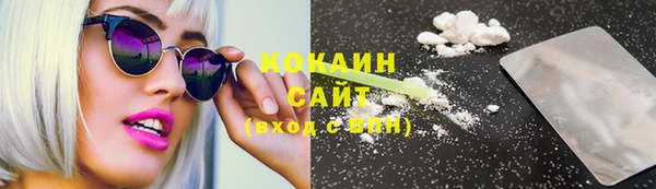 круглые Гусев