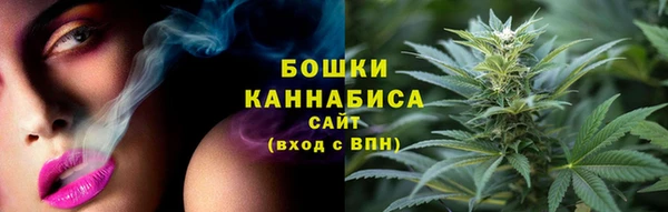 ГАЛЛЮЦИНОГЕННЫЕ ГРИБЫ Гусиноозёрск