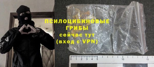 ГАЛЛЮЦИНОГЕННЫЕ ГРИБЫ Гусиноозёрск