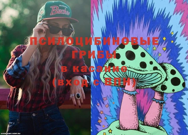 круглые Гусев