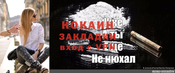 круглые Гусев
