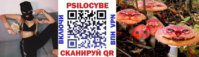 Псилоцибиновые грибы Magic Shrooms  Купить  Дагестанские Огни 