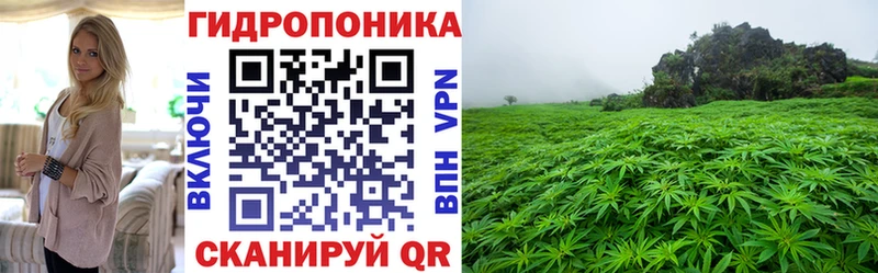Купить закладки Дагестанские Огни Бошки Шишки план